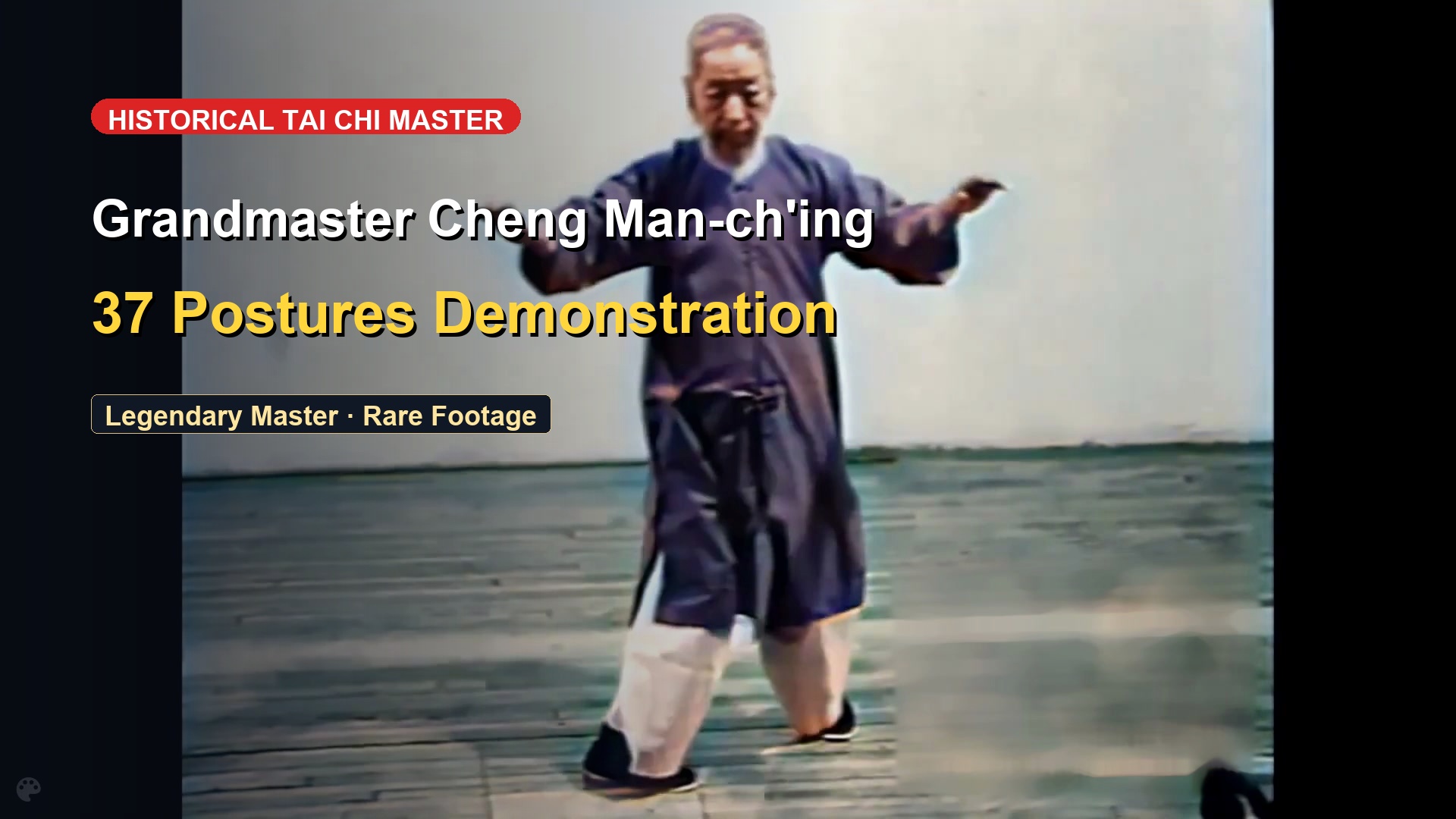 Grandmaster Zheng Manqing: Rare Historical Masterclass & Push Hands Footage