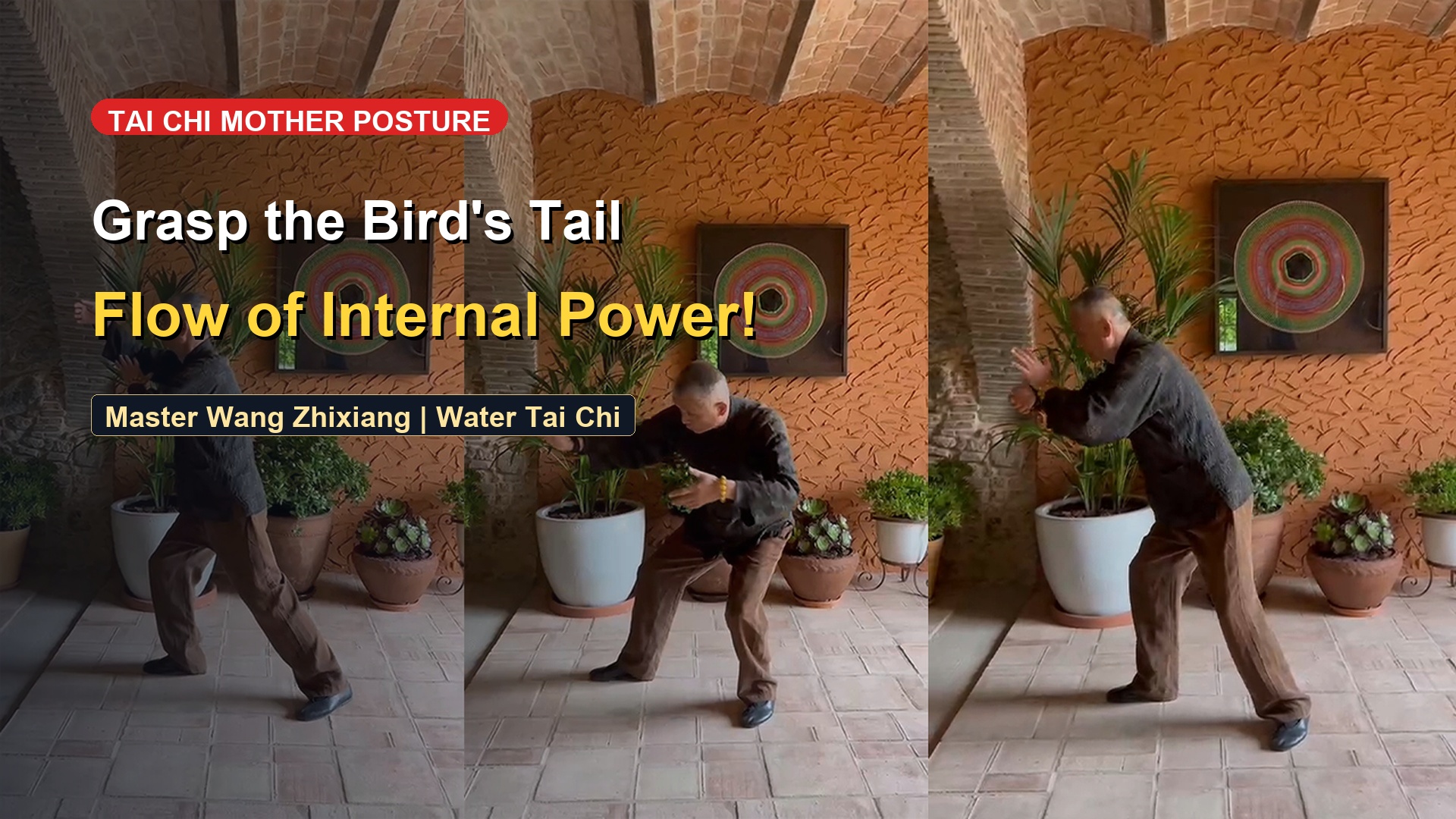 Grasp the Sparrow's Tail: The Mother Form of Yang Style & Sacred Mind Intent