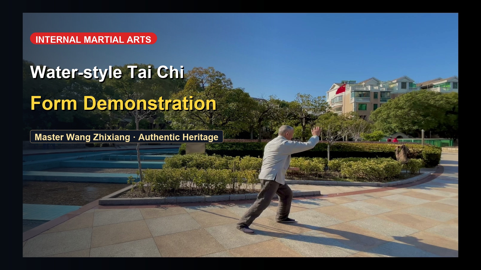 Water Tai Chi Core Routine: Complete Masterclass Demonstration by Master Wang