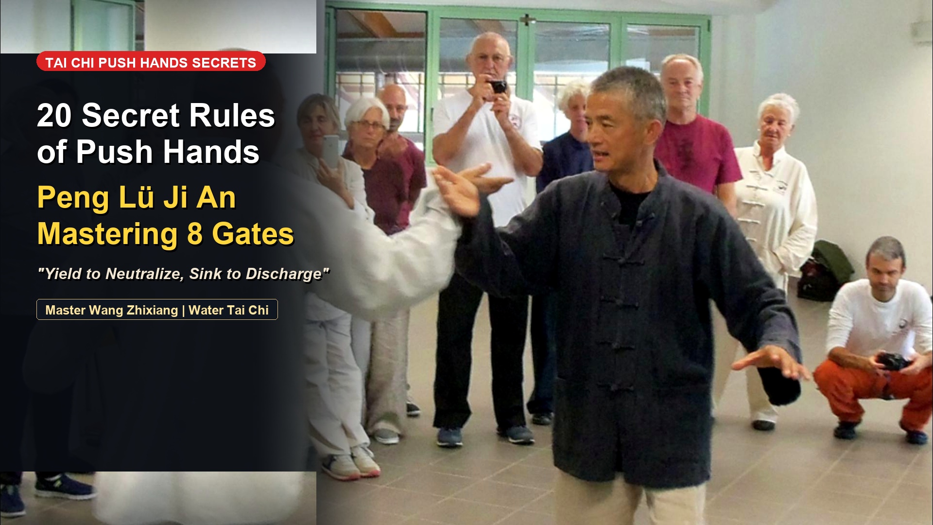 Tai Chi Push Hands Combat Mastery: Complete 20-Word Formula Decoded