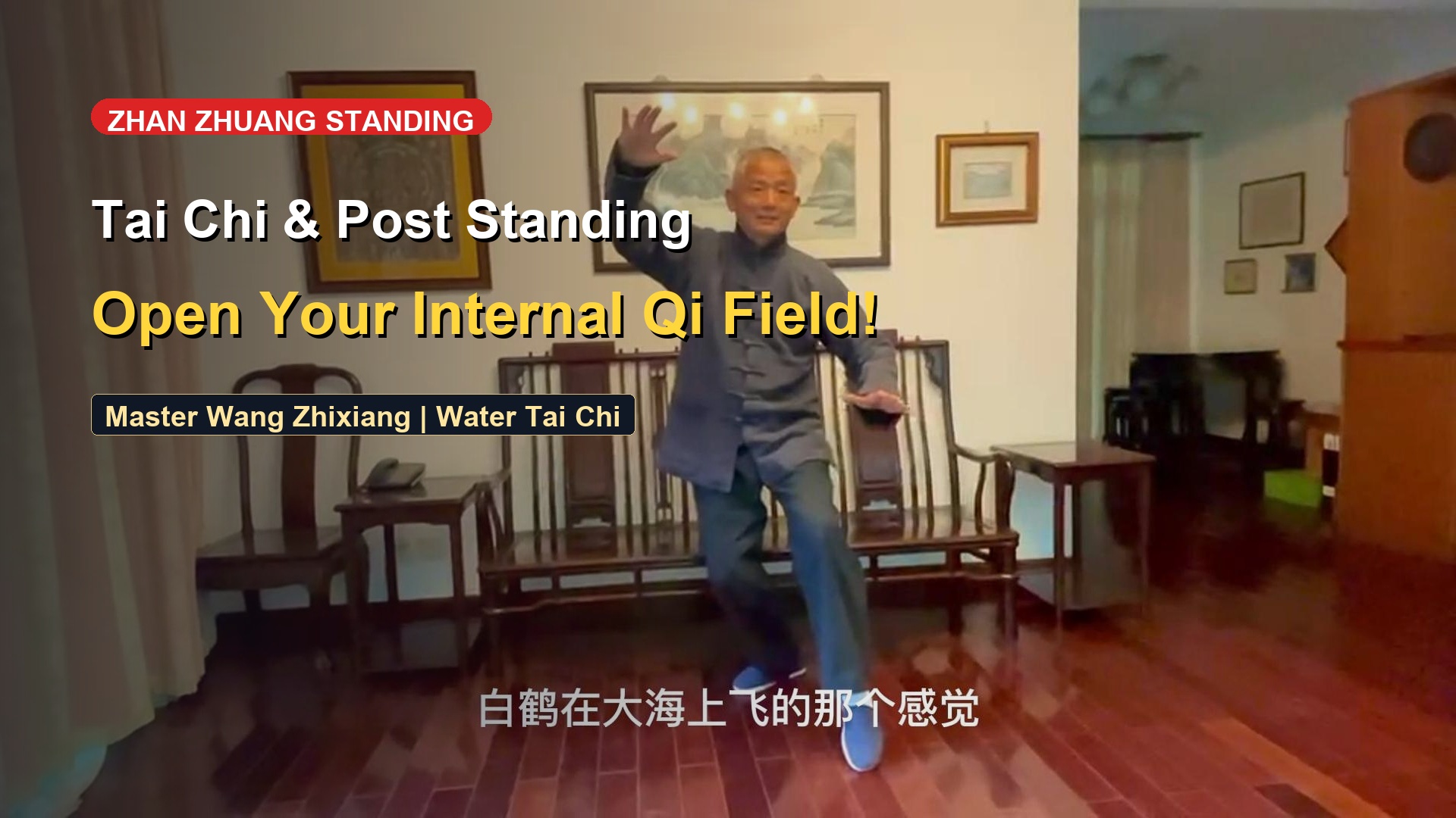 Zhan Zhuang Standing Pole & Tai Chi: Single Whip Posture for Healing & Power