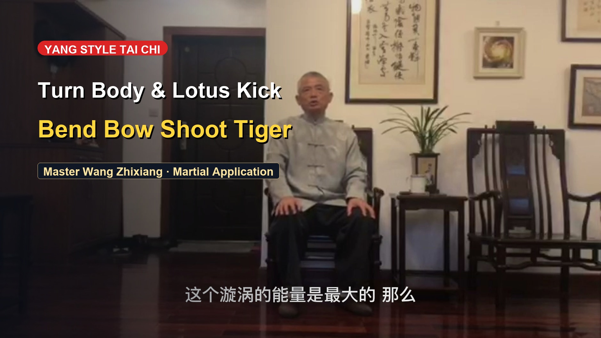 Turn Body Lotus Kick & Bend Bow to Shoot the Tiger: Climax Form Breakdown