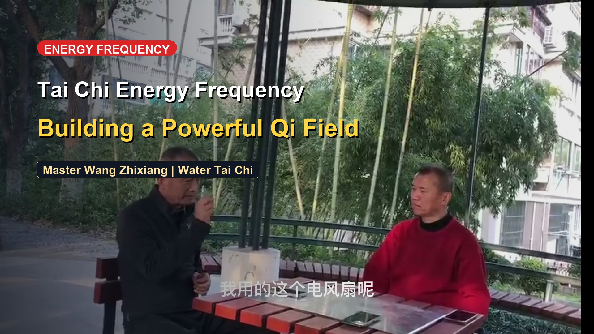 Energy Frequencies in Tai Chi: The Rotating Fan Blade Analogy for Power Fields