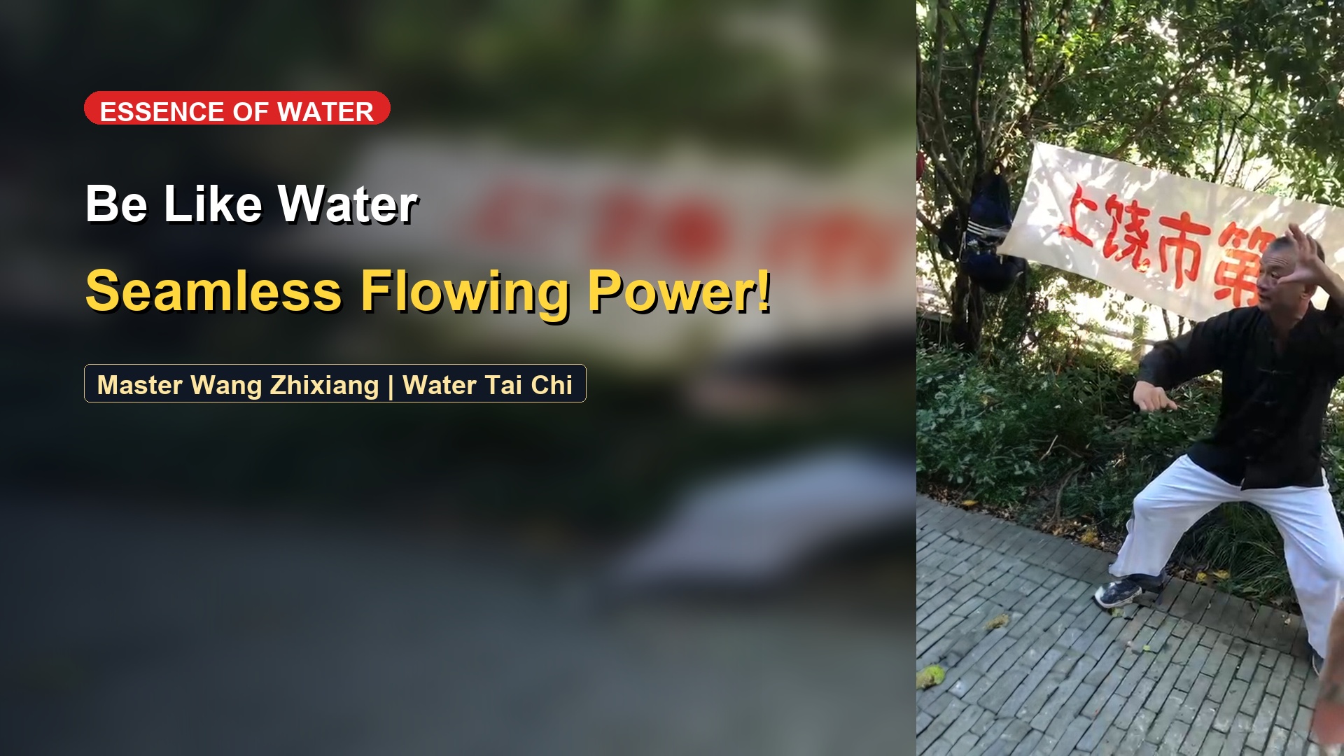 Water Tai Chi: Returning to the Natural Dao & Finding the Liquid Soul
