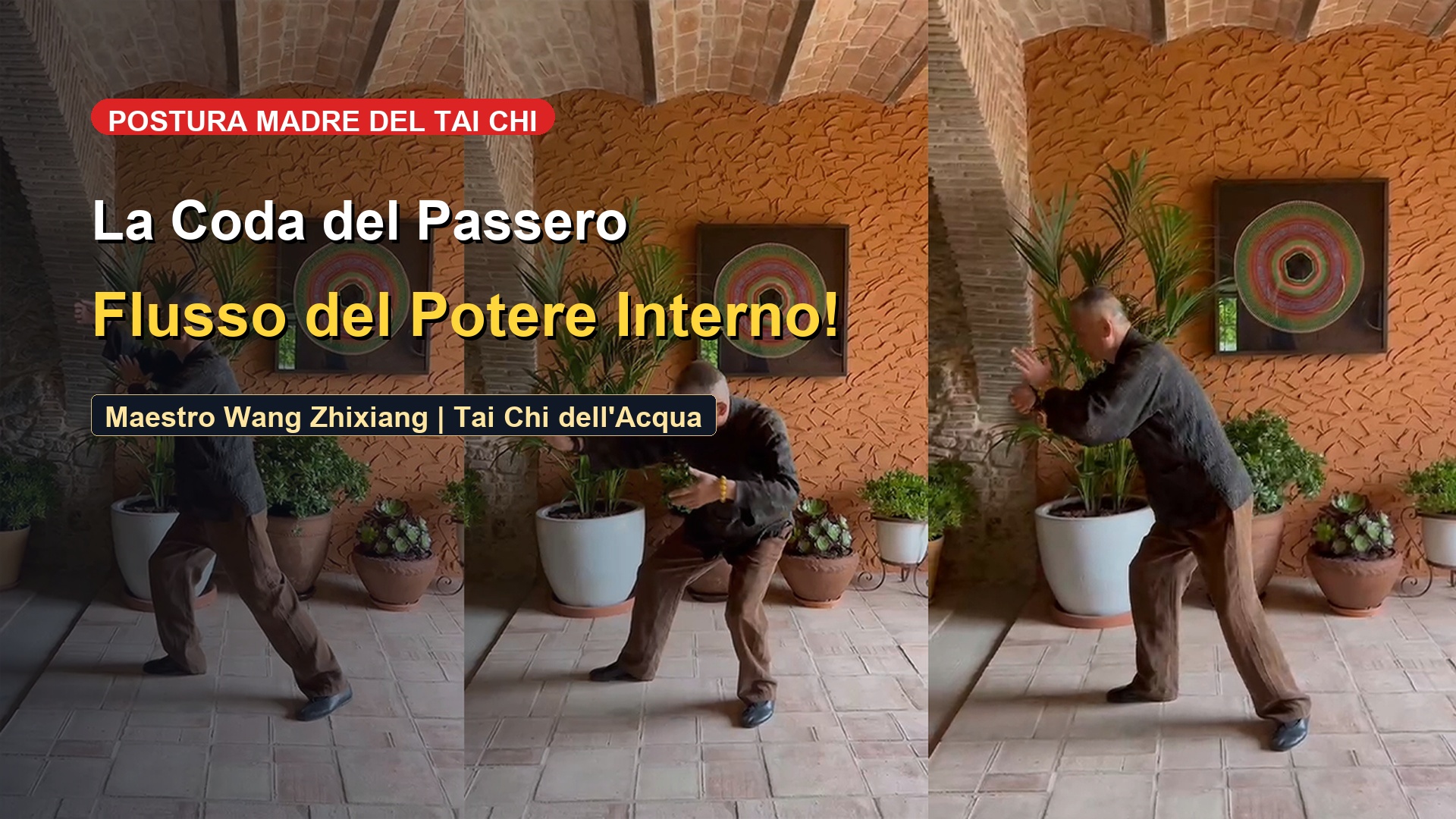 Afferrare la Coda del Passero: La Forma Madre dello Stile Yang e l'Intenzione Sacra